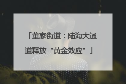 董家街道：陆海大通道释放“黄金效应”