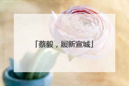 蔡毅，履新宣城