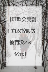 证监会亮剑！京汉控股等被罚没2.3亿元