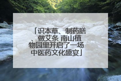 识本草、制药膳、做艾条 南山植物园里开启了一场中医药文化盛宴