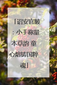 诏安官陂：小手称量本草韵 童心熔铸国粹魂
