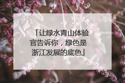 让绿水青山体验官告诉你，绿色是浙江发展的底色