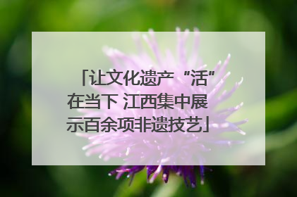 让文化遗产“活”在当下 江西集中展示百余项非遗技艺