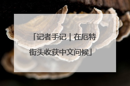 记者手记｜在厄特街头收获中文问候