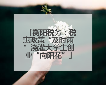 衡阳税务：税惠政策“及时雨”浇灌大学生创业“向阳花”