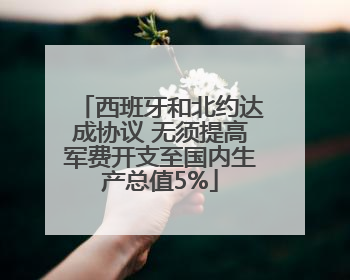西班牙和北约达成协议 无须提高军费开支至国内生产总值5%