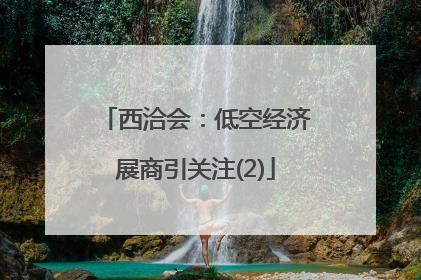 西洽会：低空经济展商引关注(2)