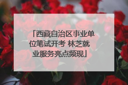 西藏自治区事业单位笔试开考 林芝就业服务亮点频现