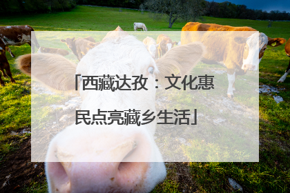 西藏达孜：文化惠民点亮藏乡生活