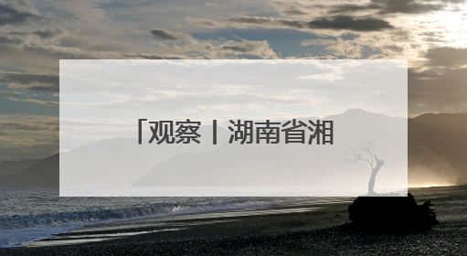 观察丨湖南省湘非经贸商会如何串起湖南与非洲的“万里商路”