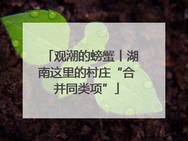 观潮的螃蟹丨湖南这里的村庄“合并同类项”