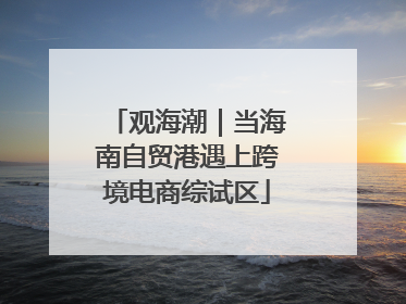 观海潮｜当海南自贸港遇上跨境电商综试区