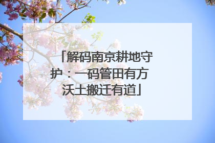 解码南京耕地守护：一码管田有方 沃土搬迁有道
