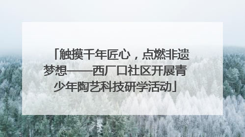 触摸千年匠心，点燃非遗梦想——西厂口社区开展青少年陶艺科技研学活动