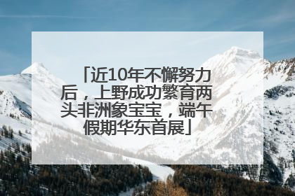 近10年不懈努力后，上野成功繁育两头非洲象宝宝，端午假期华东首展
