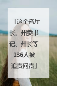 这个省厅长、州委书记、州长等136人被追责问责