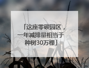 这座零碳园区，一年减排量相当于种树30万棵