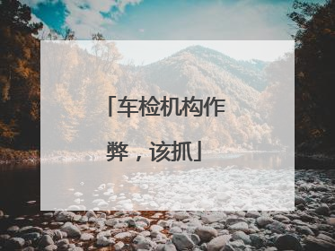 车检机构作弊，该抓