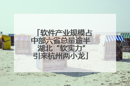 软件产业规模占中部六省总量逾半 湖北“软实力”引来杭州两小龙