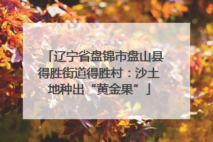 辽宁省盘锦市盘山县得胜街道得胜村：沙土地种出“黄金果”