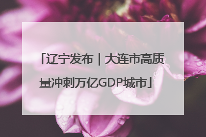 辽宁发布｜大连市高质量冲刺万亿GDP城市