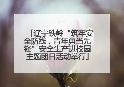 辽宁铁岭“筑牢安全防线，青年勇当先锋”安全生产进校园主题团日活动举行
