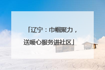 辽宁：巾帼聚力，送暖心服务进社区