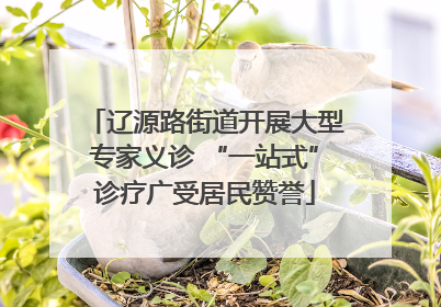 辽源路街道开展大型专家义诊 “一站式”诊疗广受居民赞誉