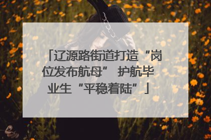 辽源路街道打造“岗位发布航母” 护航毕业生“平稳着陆”