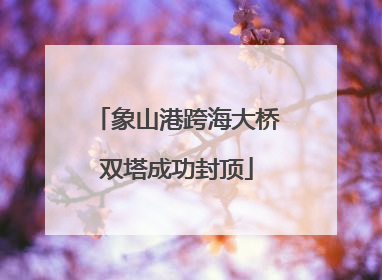 象山港跨海大桥双塔成功封顶