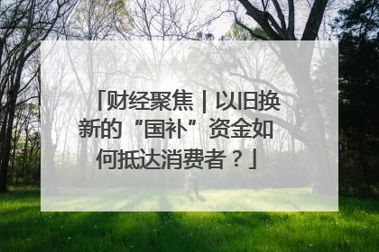财经聚焦｜以旧换新的“国补”资金如何抵达消费者？
