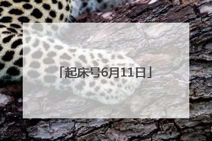 起床号6月11日