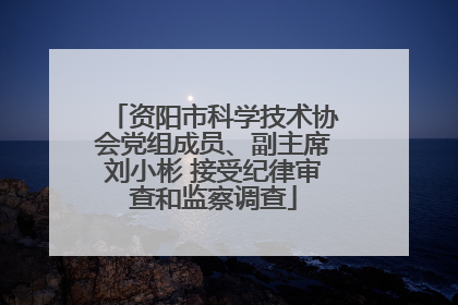 资阳市科学技术协会党组成员、副主席刘小彬 接受纪律审查和监察调查