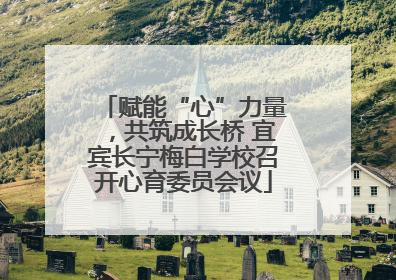 赋能“心”力量，共筑成长桥 宜宾长宁梅白学校召开心育委员会议