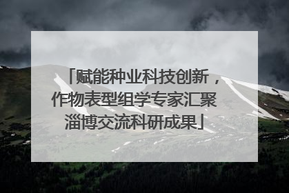 赋能种业科技创新，作物表型组学专家汇聚淄博交流科研成果
