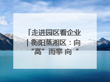走进园区看企业｜衡阳蒸湘区：向“高”而攀 向“新”而行