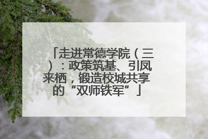 走进常德学院（三）：政策筑基、引凤来栖，锻造校城共享的“双师铁军”