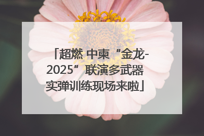 超燃 中柬“金龙-2025”联演多武器实弹训练现场来啦