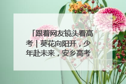 跟着网友镜头看高考｜葵花向阳开，少年赴未来，安乡高考首日的希望图景