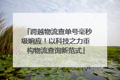 跨越物流查单号毫秒级响应！以科技之力重构物流查询新范式