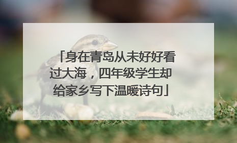 身在青岛从未好好看过大海，四年级学生却给家乡写下温暖诗句