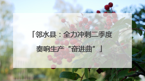 邻水县：全力冲刺二季度 奏响生产“奋进曲”