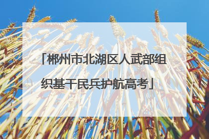郴州市北湖区人武部组织基干民兵护航高考