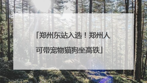 郑州东站入选！郑州人可带宠物猫狗坐高铁