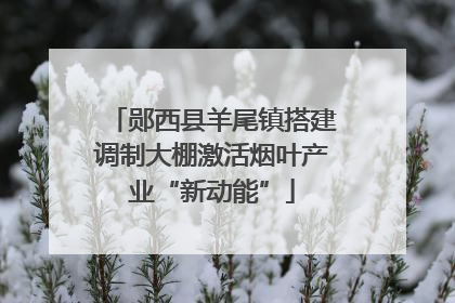 郧西县羊尾镇搭建调制大棚激活烟叶产业“新动能”