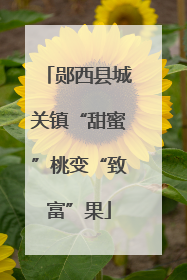 郧西县城关镇“甜蜜”桃变“致富”果