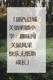 郧西县城关镇明德小学：趣味闯关展风采 快乐无纸助成长