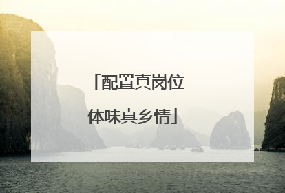 配置真岗位 体味真乡情