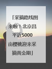 采摘路线图来啦！北京昌平近5000亩樱桃迎来采摘黄金期