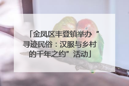 金凤区丰登镇举办“寻迹民俗：汉服与乡村的千年之约”活动
